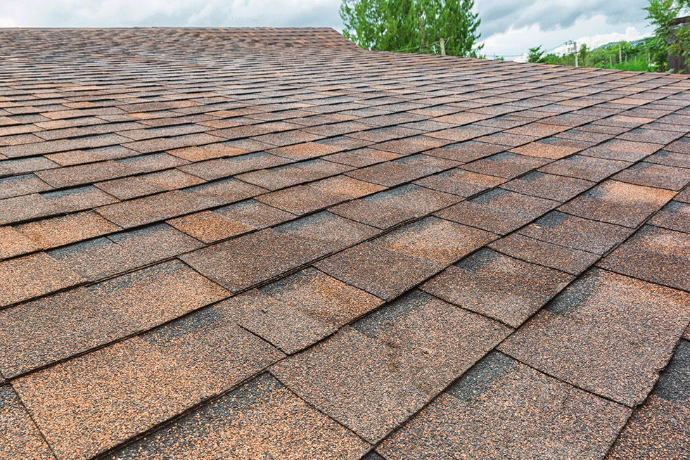 roof shingles